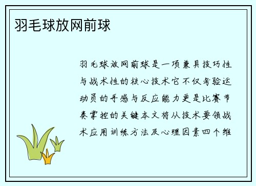 羽毛球放网前球